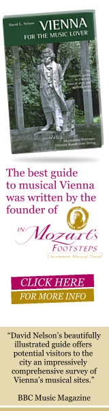 Vienna is for Music Lovers review-banner